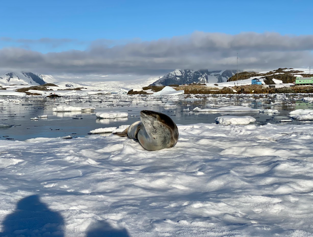 Життя на краю світу. Полярник розповів про найбільші небезпеки в Антарктиді